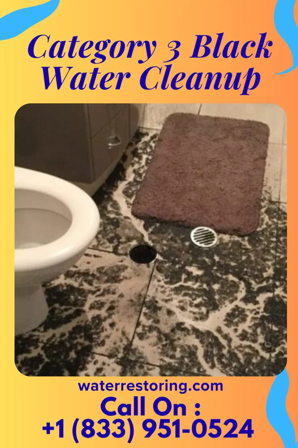 Category 3 Black Water Cleanup in Shields, MI