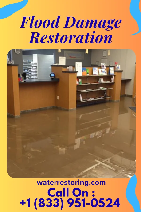 Flood Damage Restoration in Shields, MI