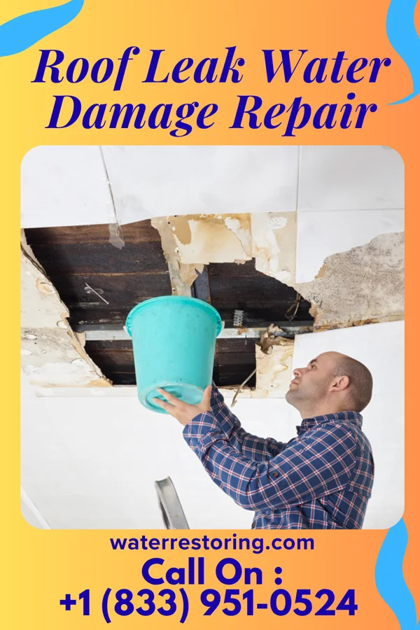 Roof Leak Water Damage Repair in Shields, MI
