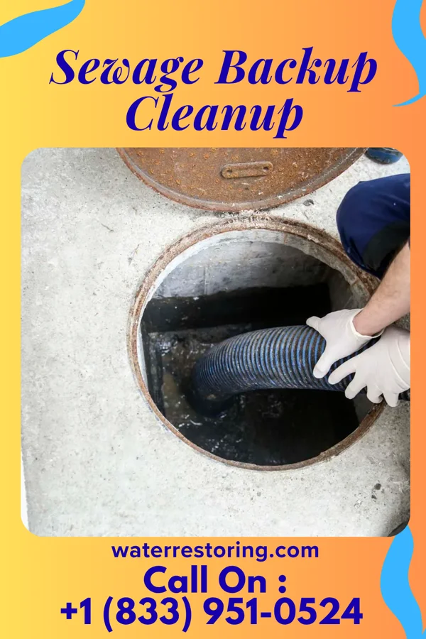 Sewage Backup Cleanup in Shields, MI
