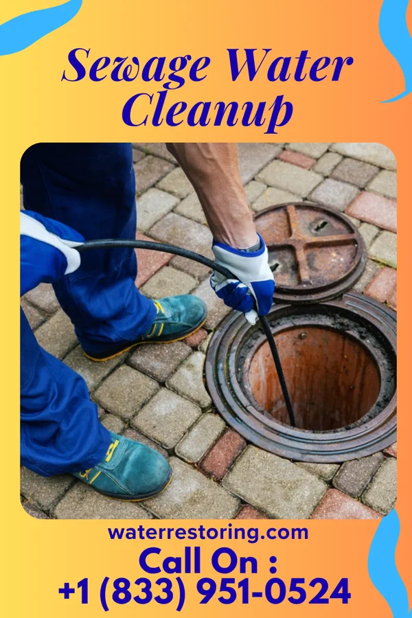 Sewage Water Cleanup in Shields, MI